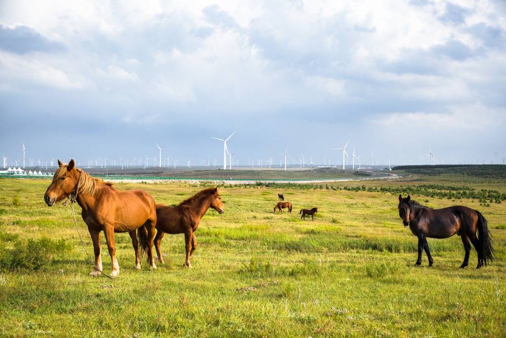 Prairies de Huitengxile