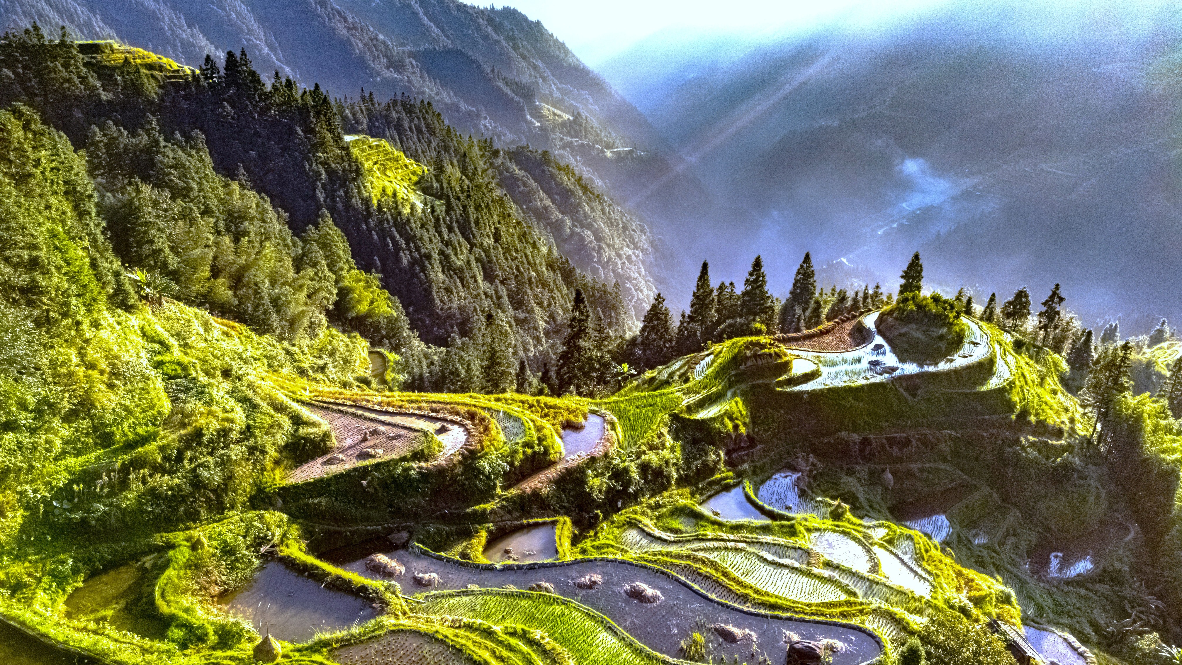 Guizhou