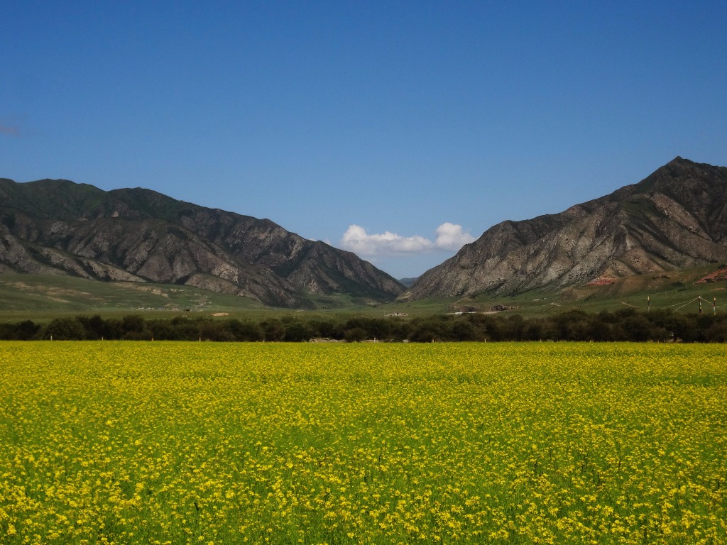 Prairie de Sangke