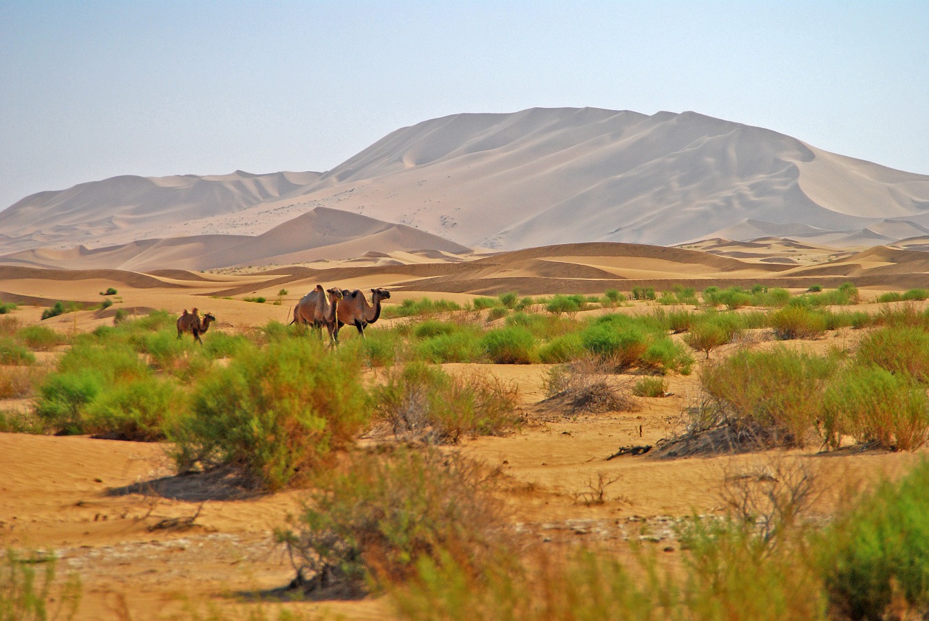 La Mongolie intérieure, un autre monde au nord de la Chine