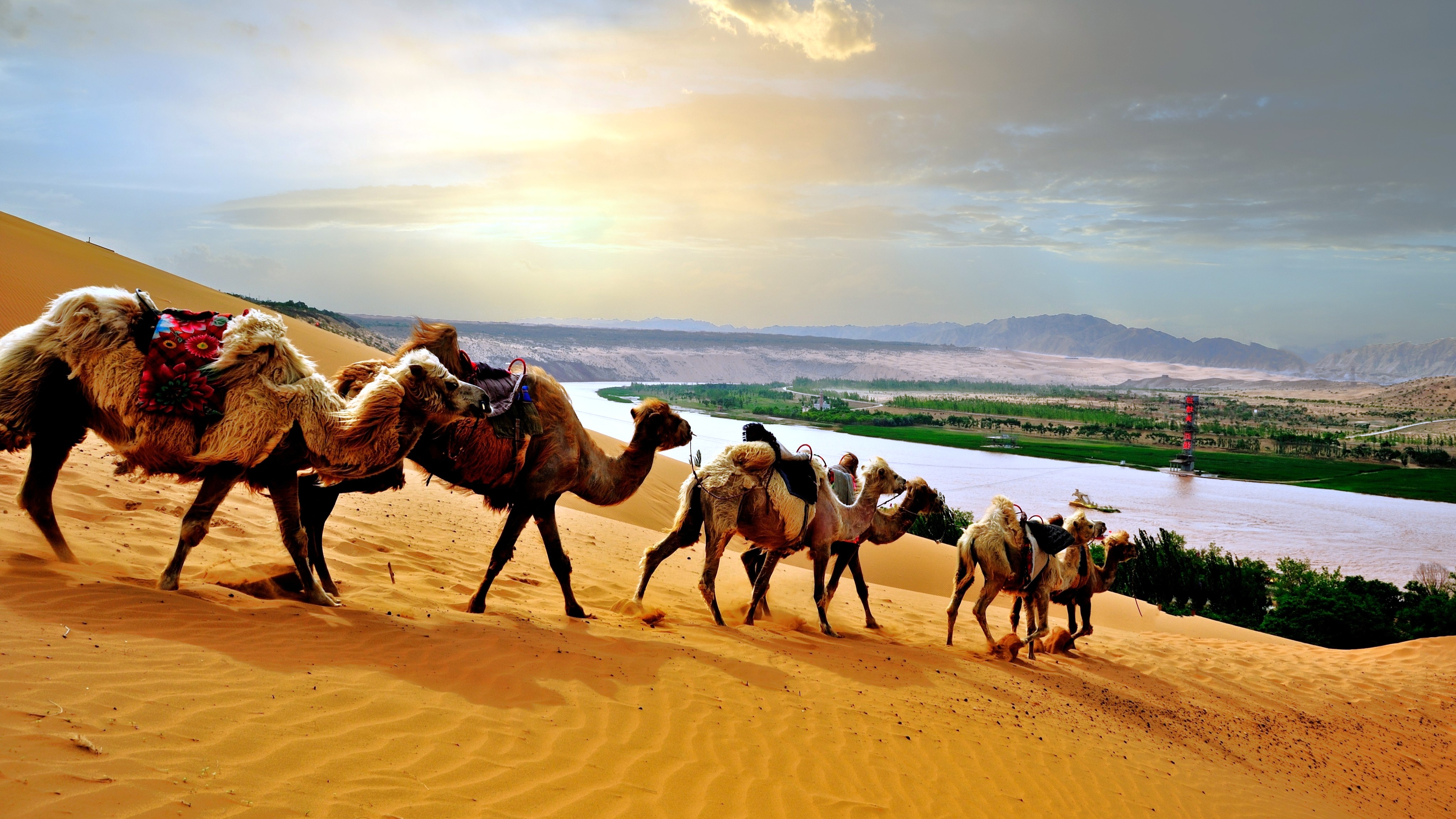 Ningxia