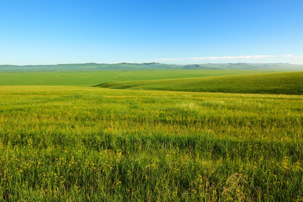 Prairie de Hulunbuir
