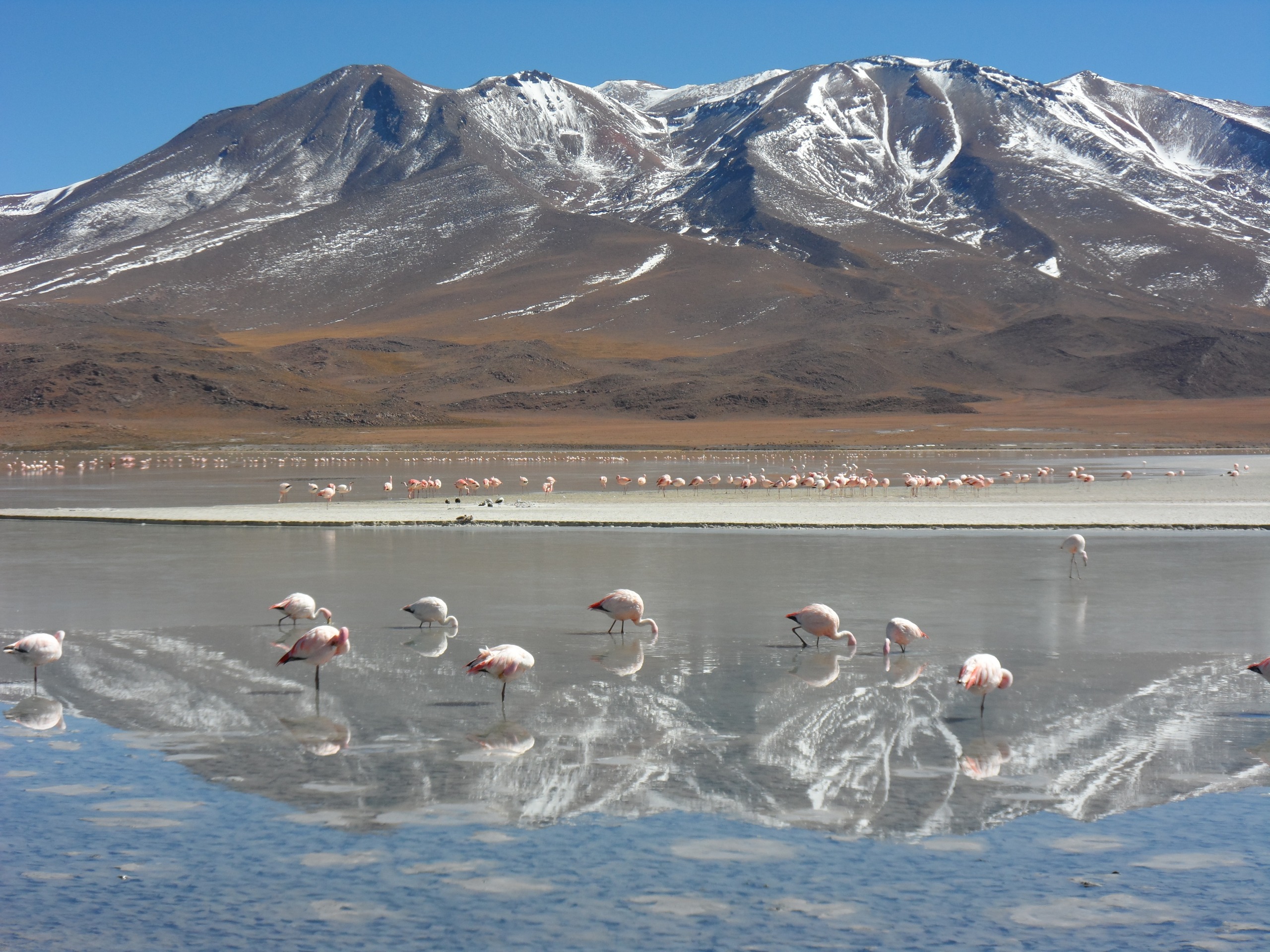 La Laguna Glaciar