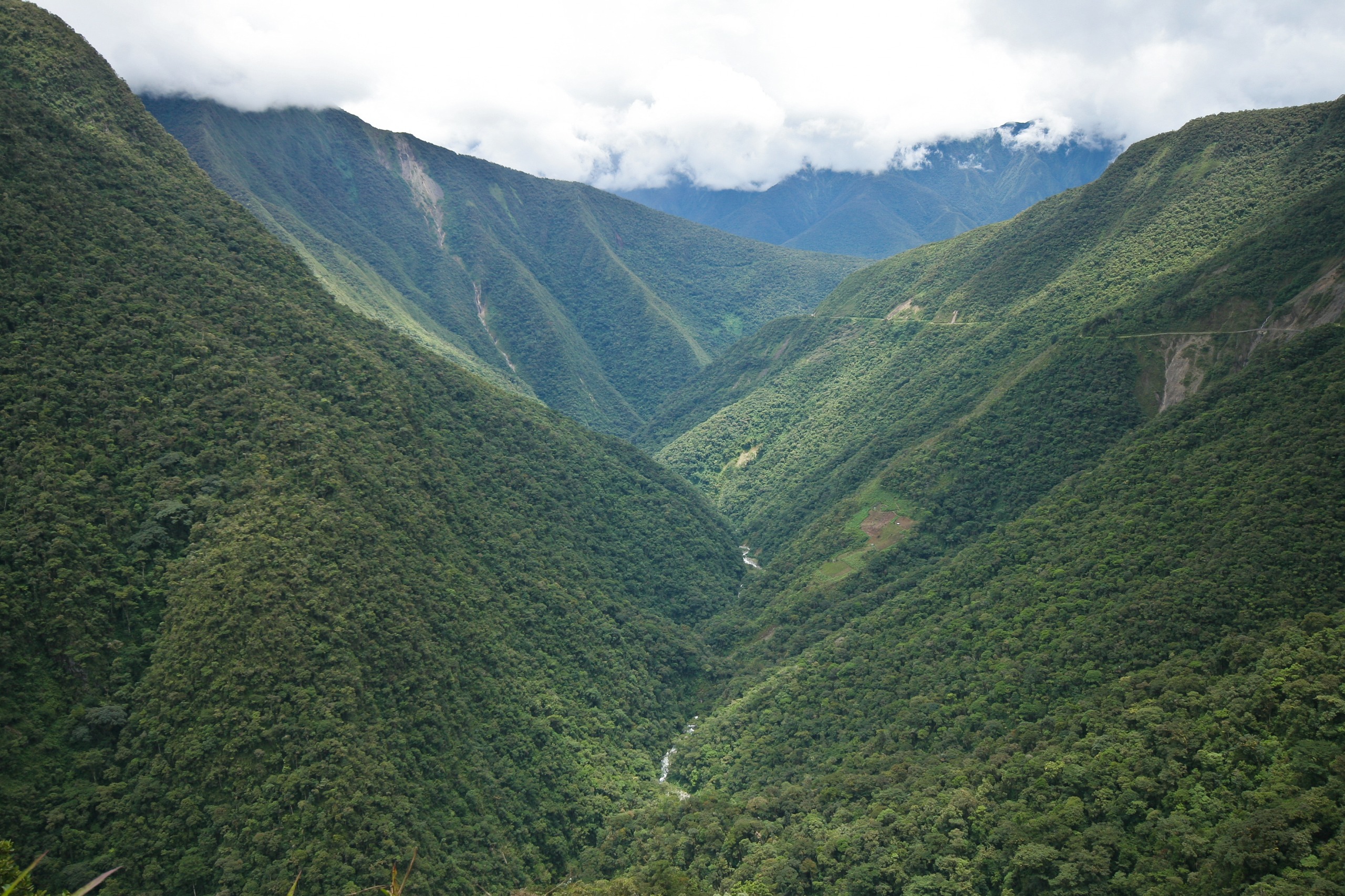 Vallée de Yungas
