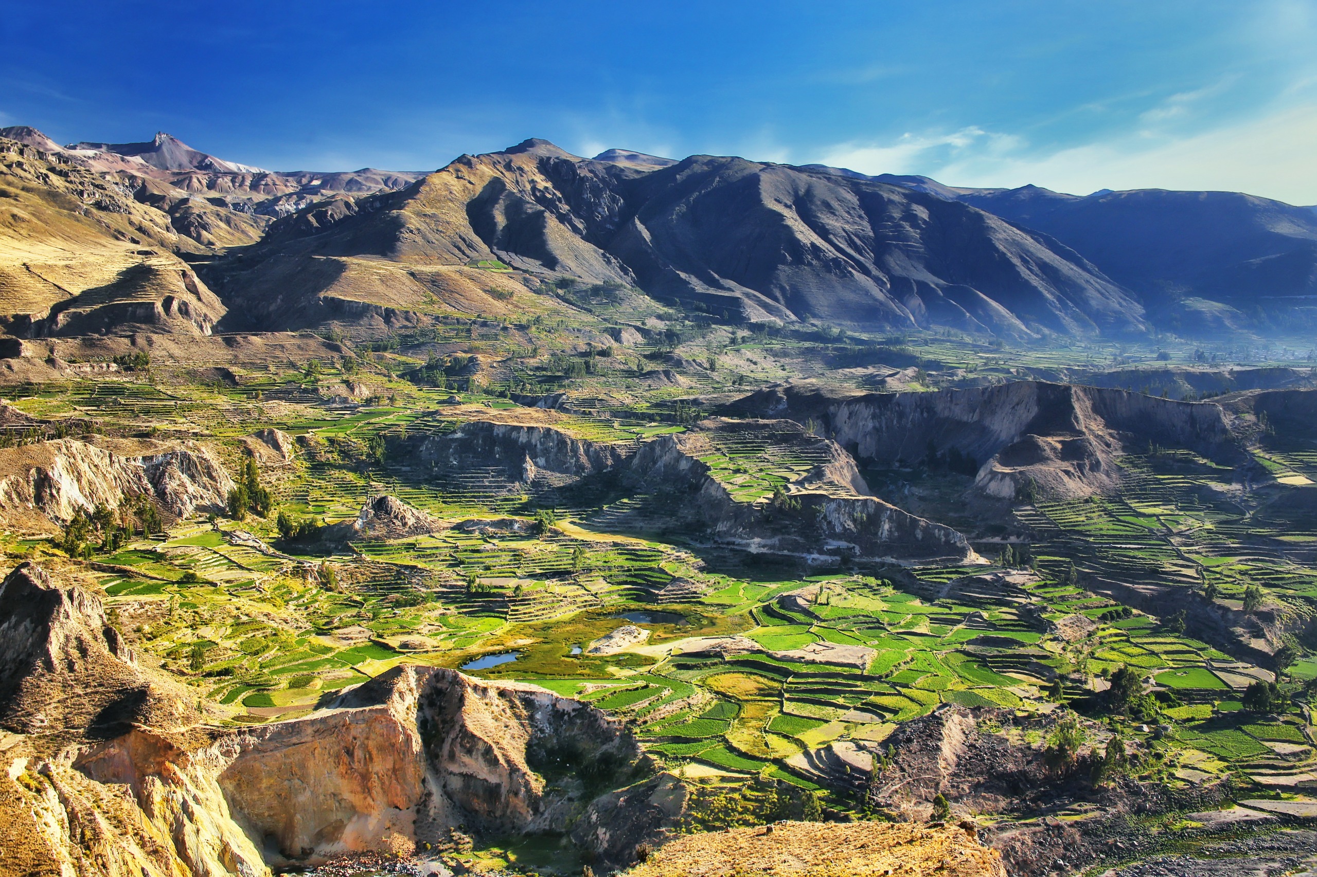 Le Canyon de Colca