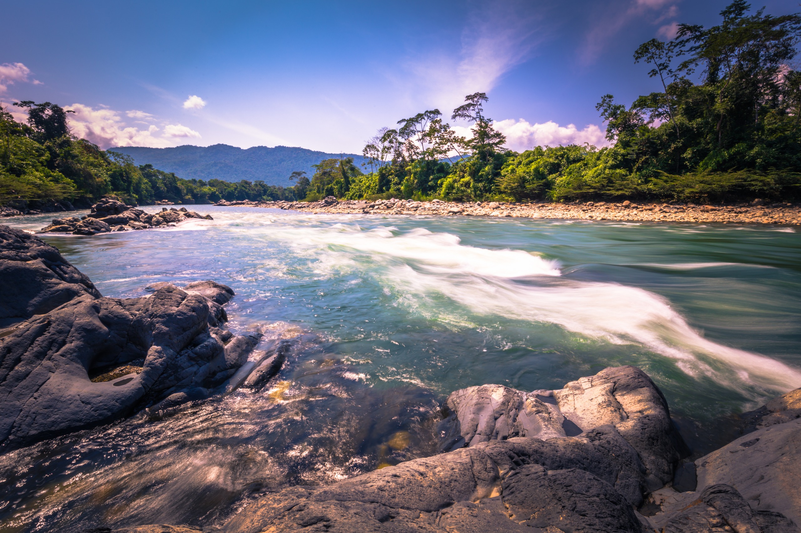 Le Parc National Manu