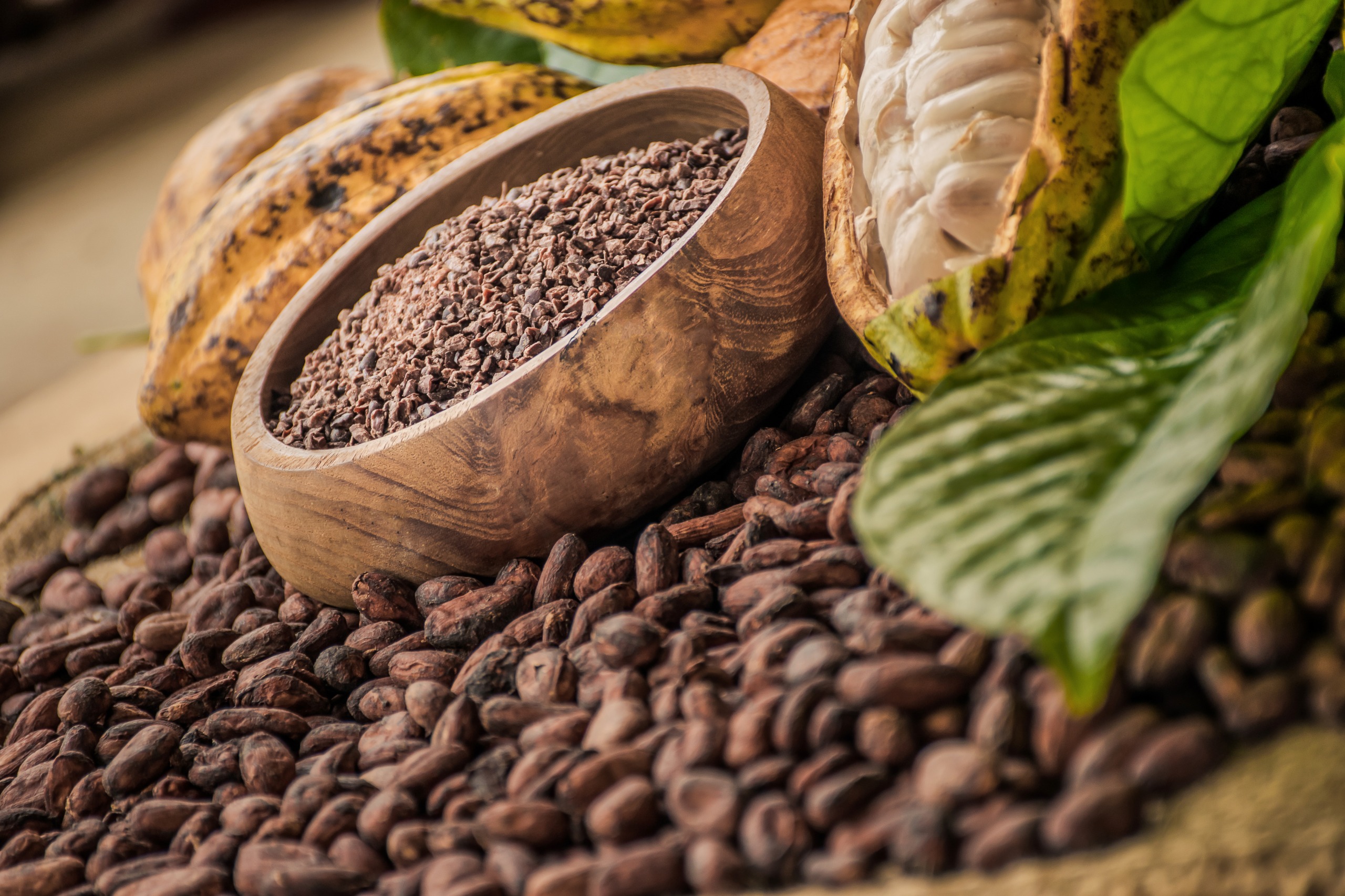 Le Pérou et le chocolat, une belle histoire !