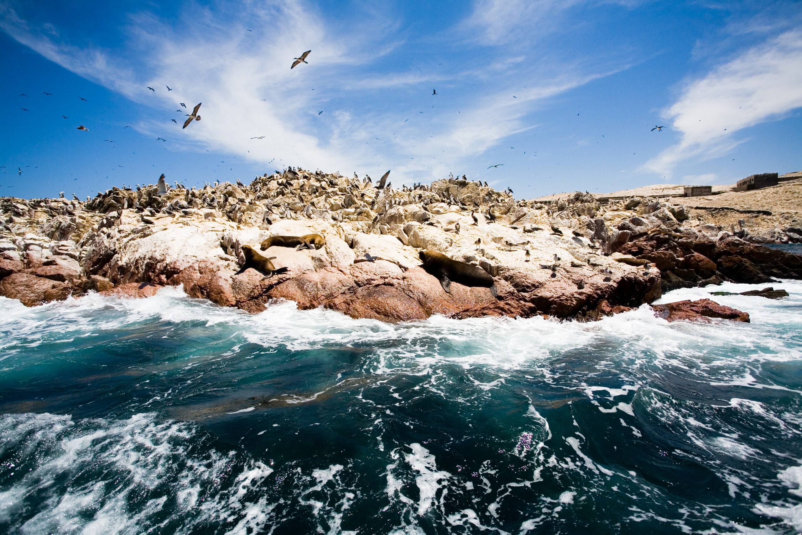Îles Ballestas