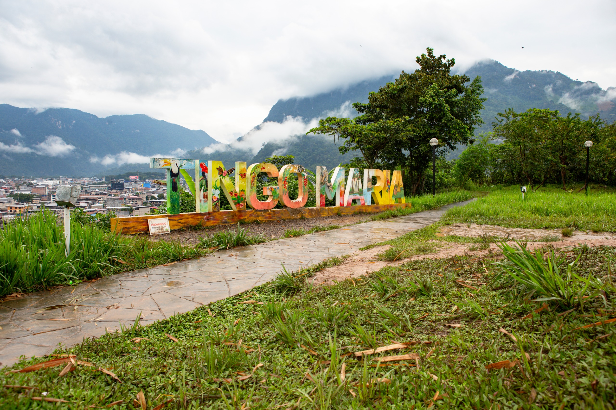 Tingo Maria