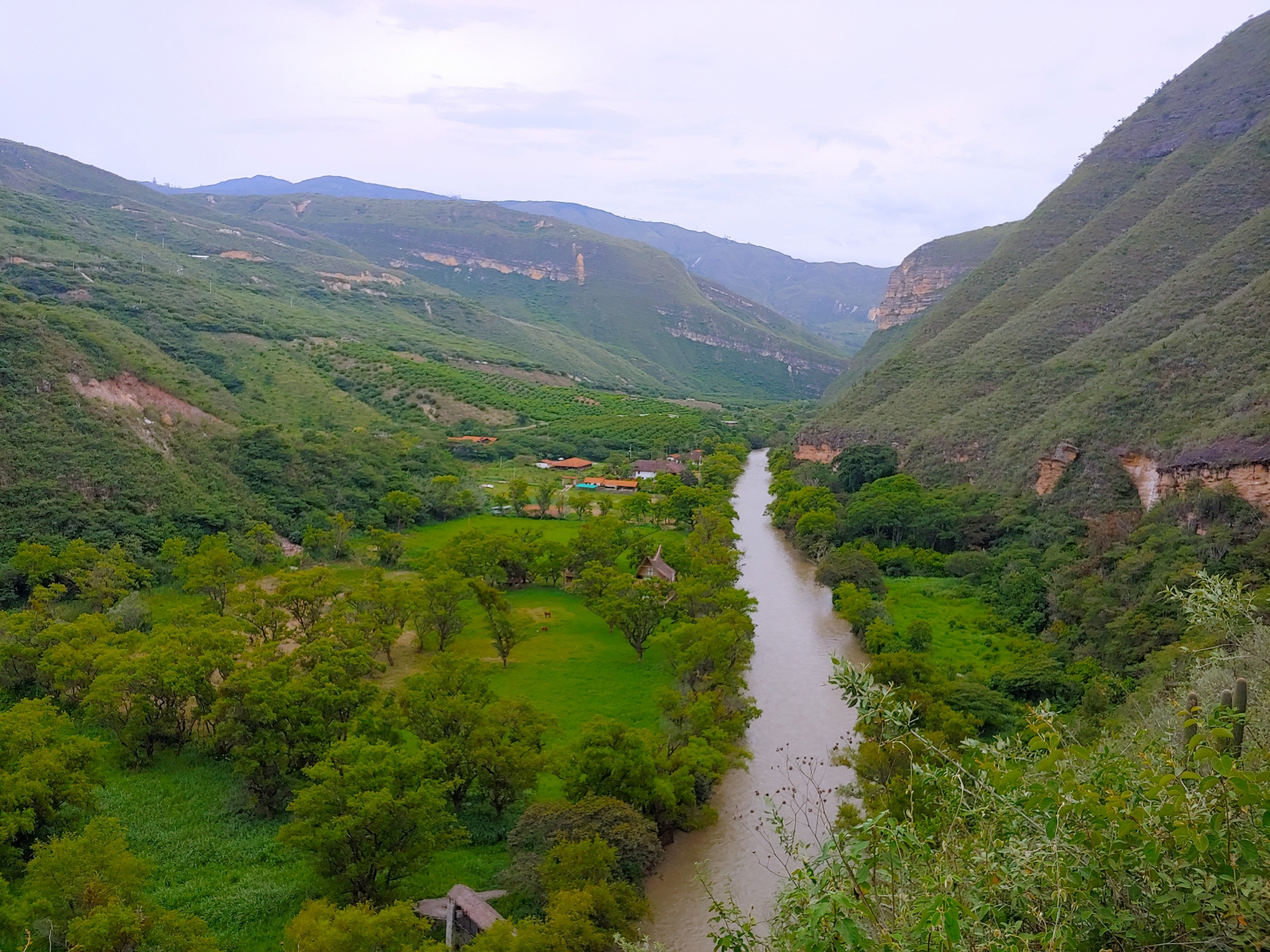 Karajia