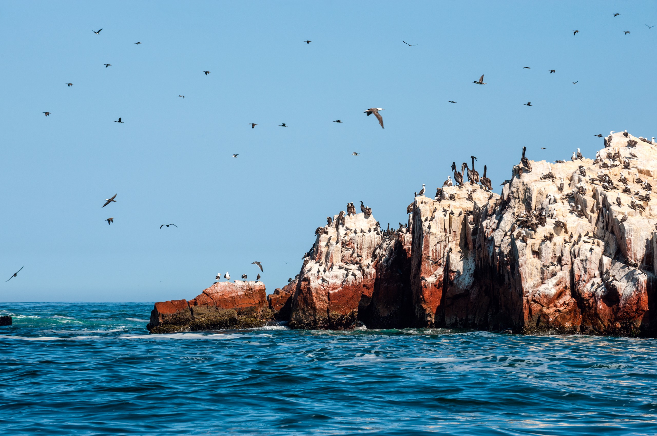 Los sitios protegidos y las reservas naturales en Perú