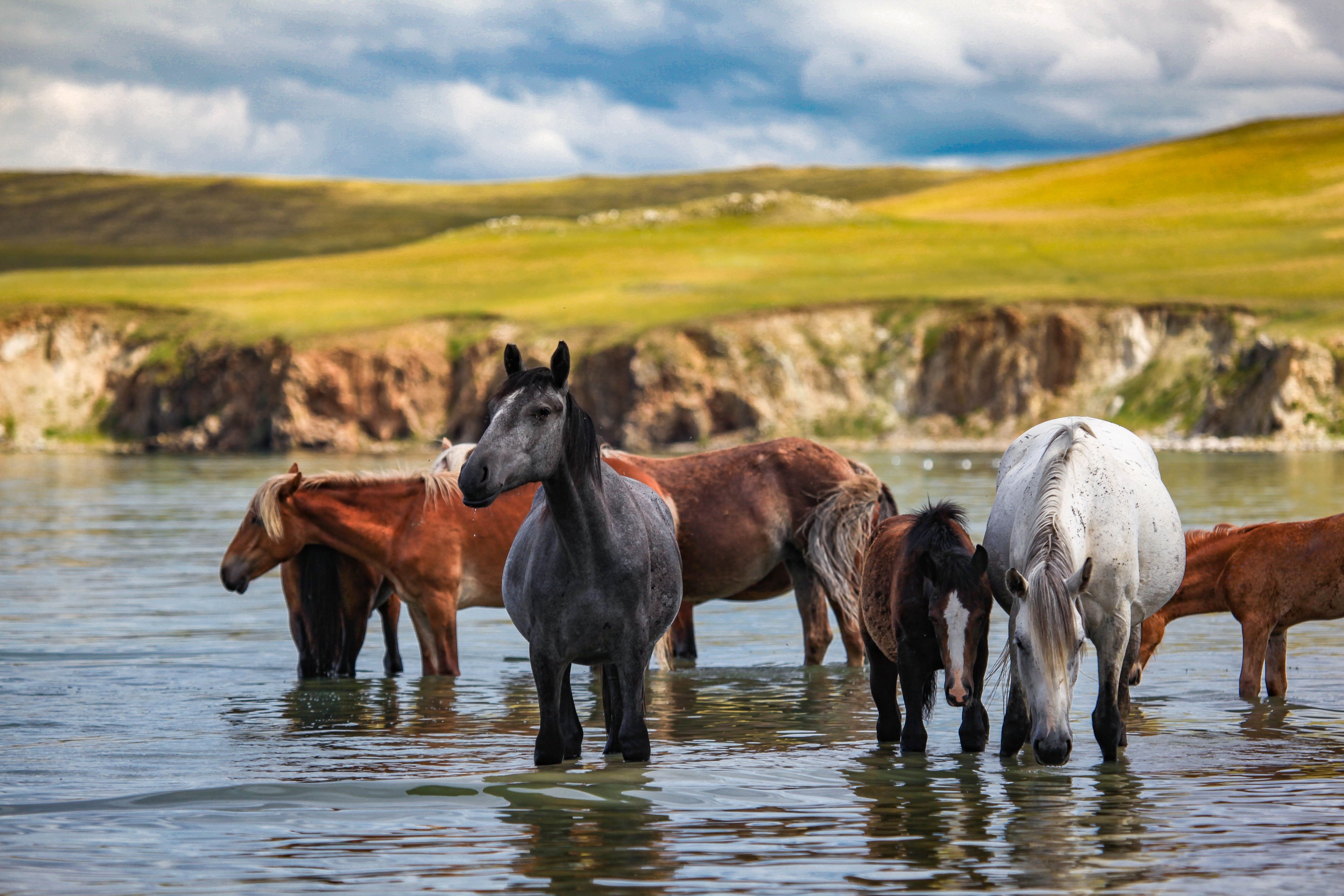Traveling to Mongolia: Which itinerary to choose?