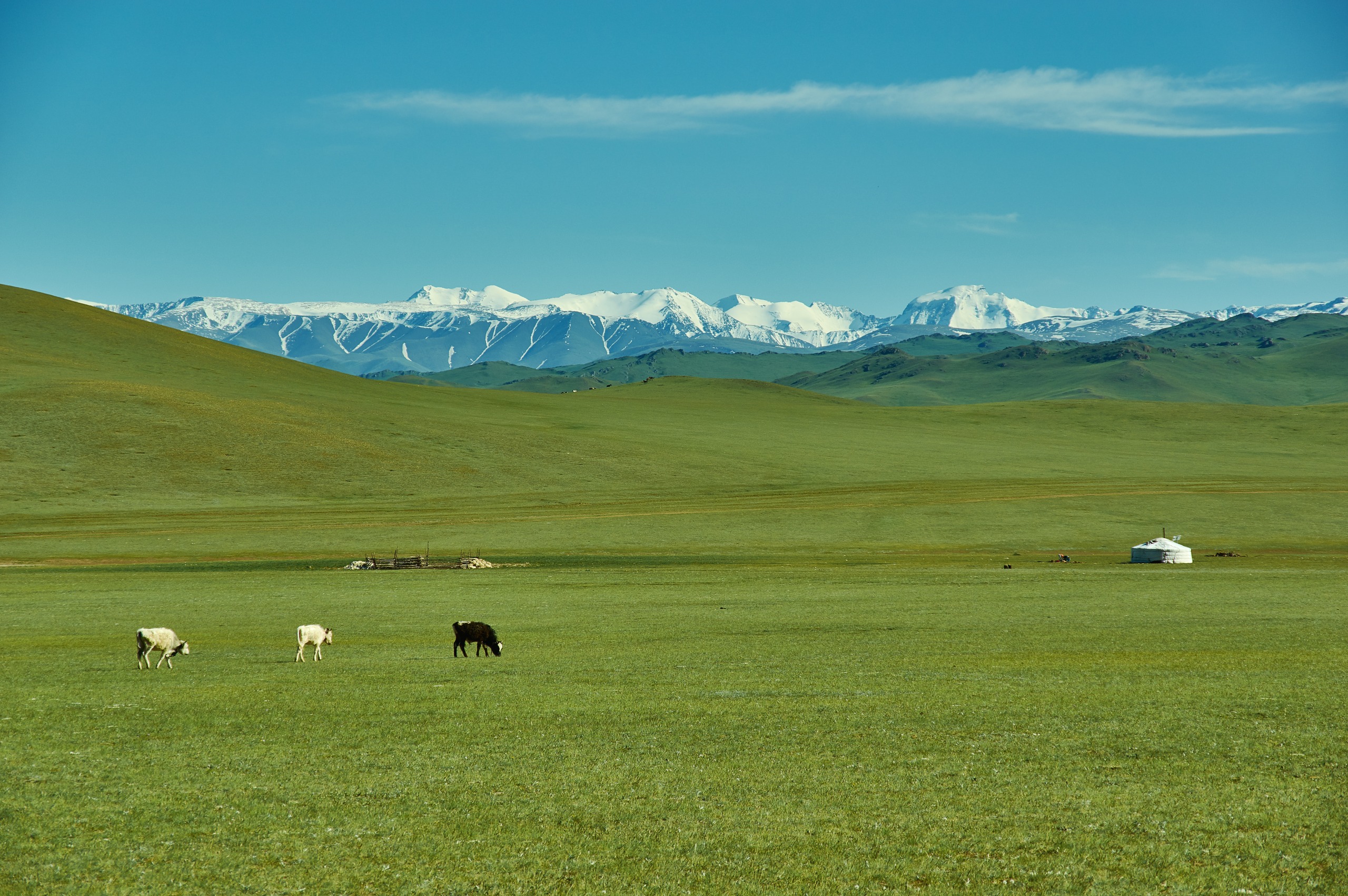 Mongolia like you've never seen it: trekking in the Kharkiraa massif