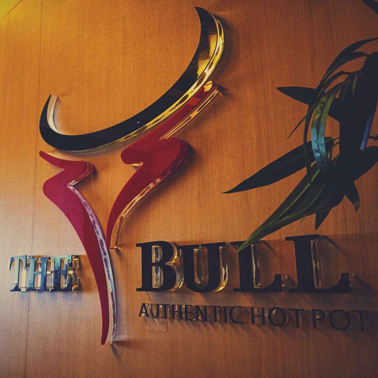 The Bull Hot Pot