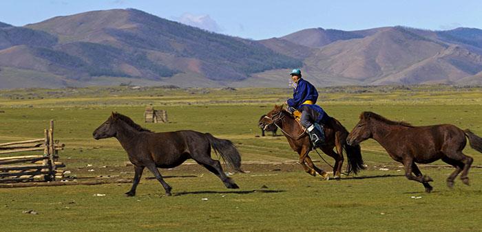 Top 10 des choses à faire et à voir en Mongolie