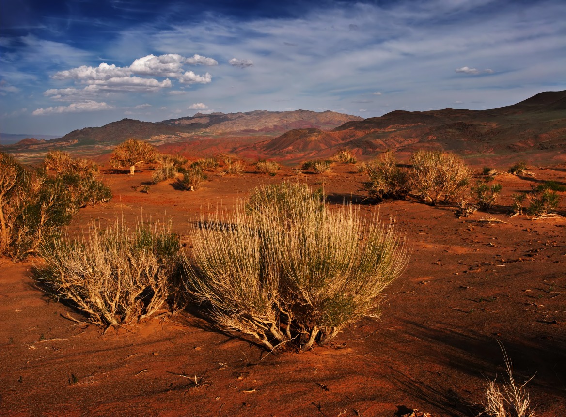 Le parc national de Gobi Gurvan saikhan