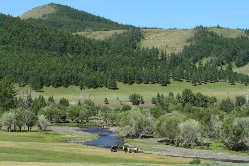 Le parc national de Gorkhi