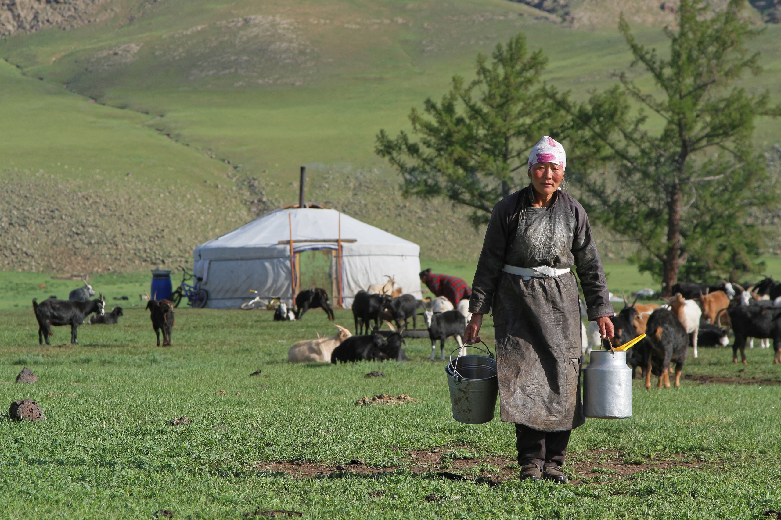 Rencontre avec les différentes ethnies de Mongolie