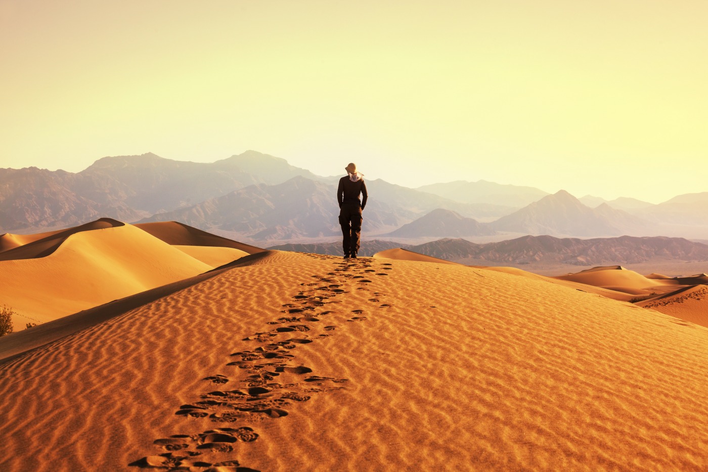 Les dunes de Khongor