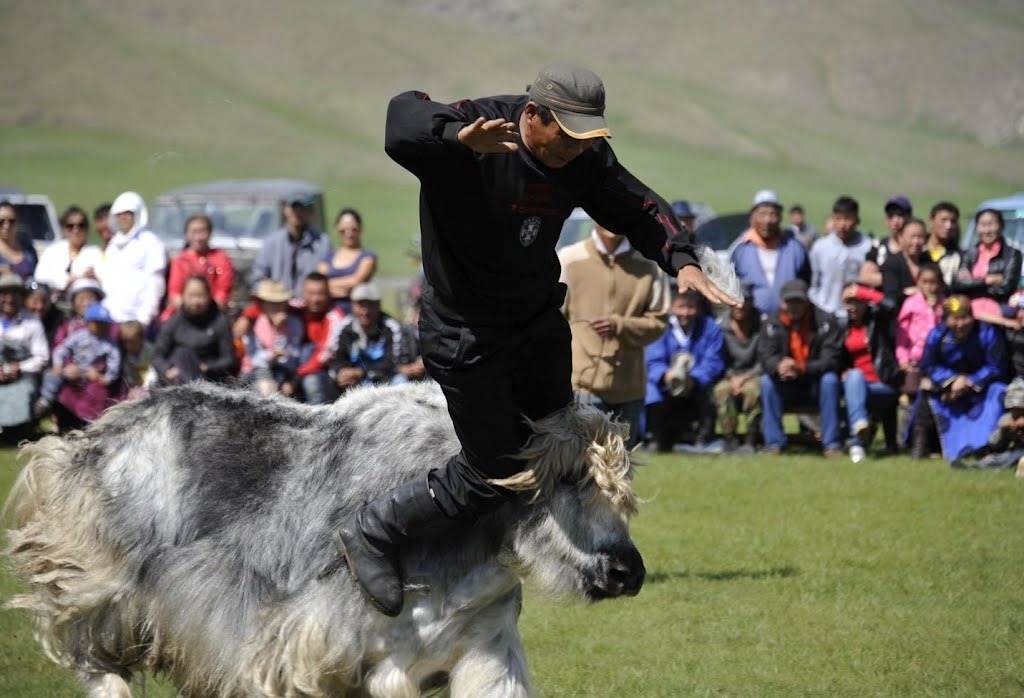 The Yak Festival