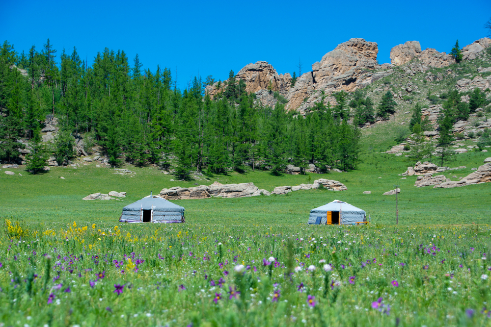 Chinggis City