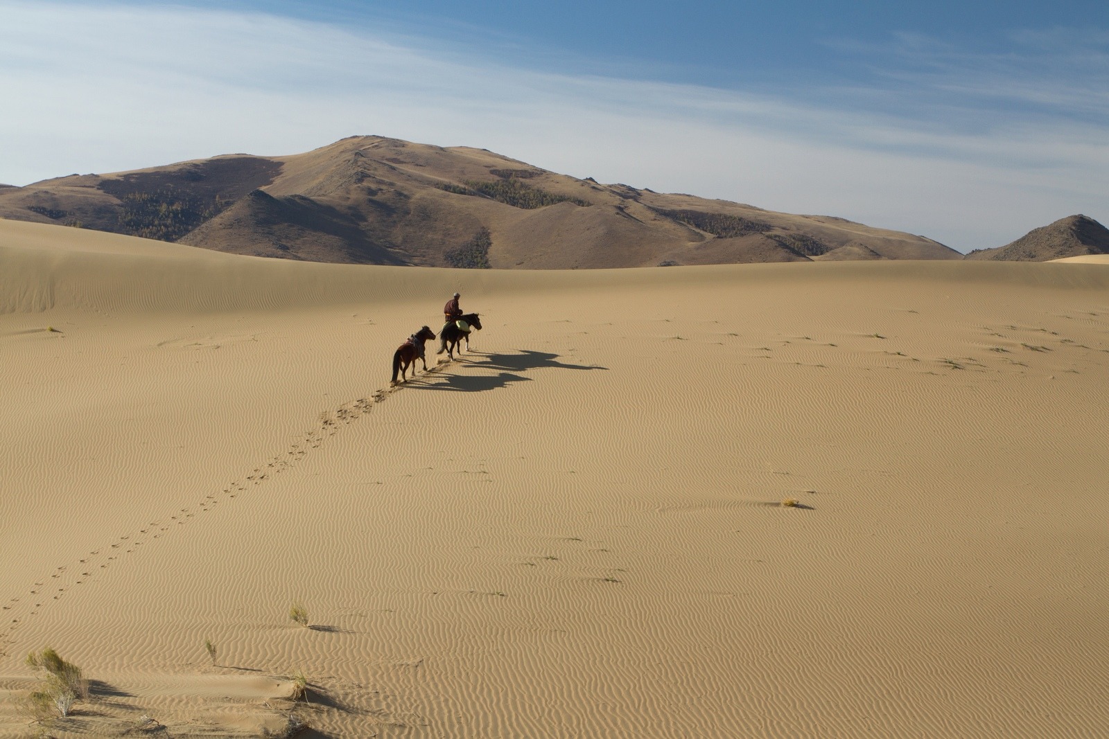 Les dunes de Mongol els
