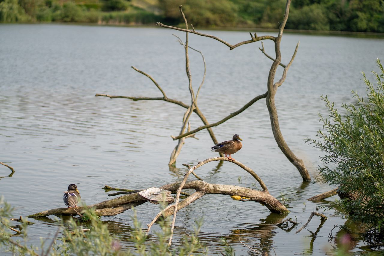 Zuun Lake