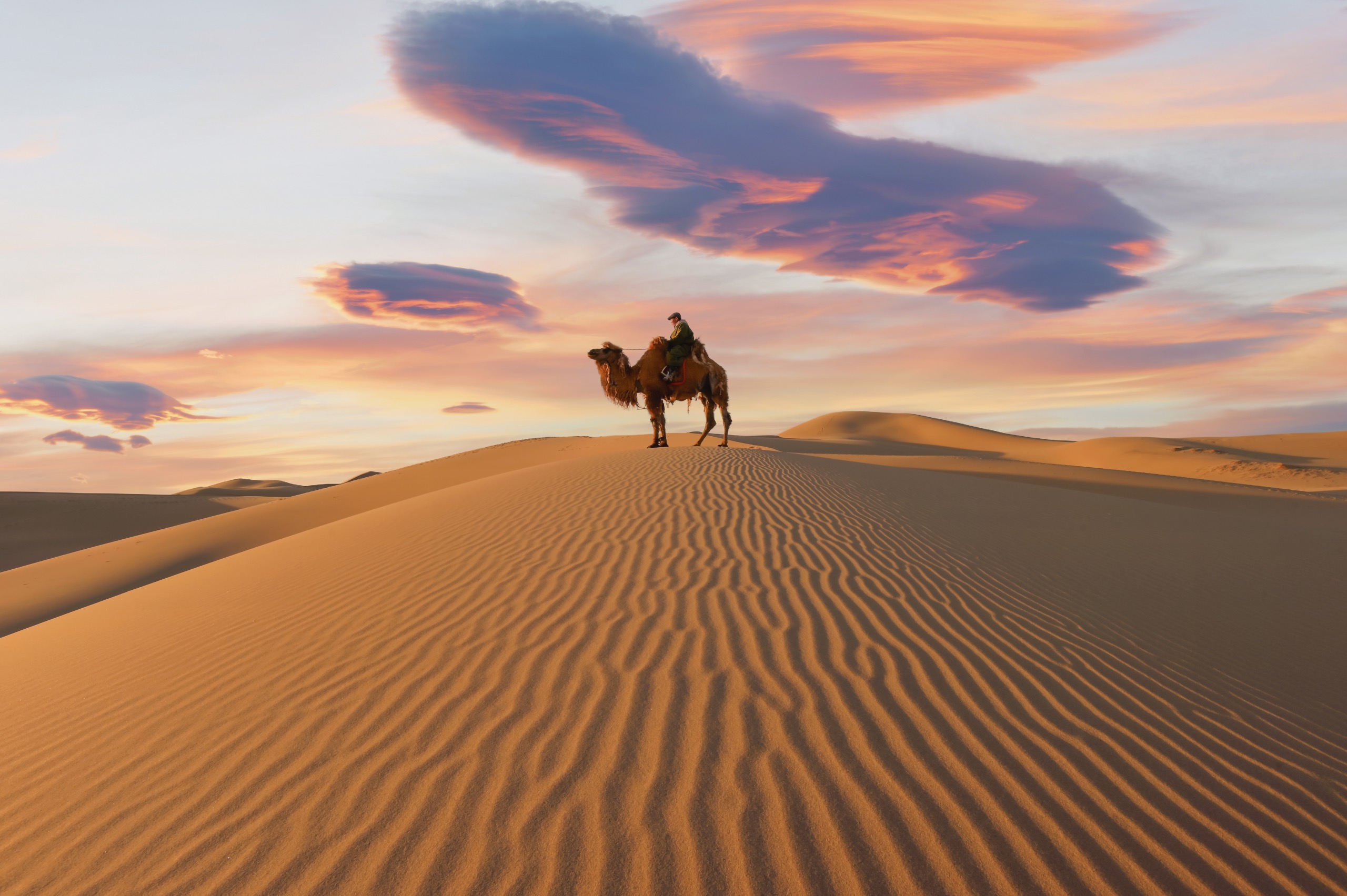 Cavalo & Gobi