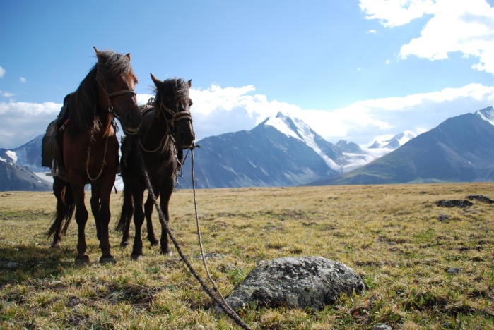 Altai-Reitertour