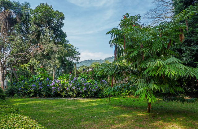 Le jardin botanique royal de Peradeniya