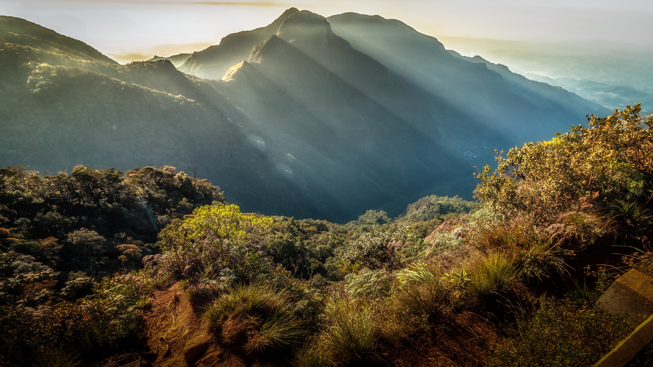 Trois parcs nationaux moins fréquentés à visiter au Sri Lanka