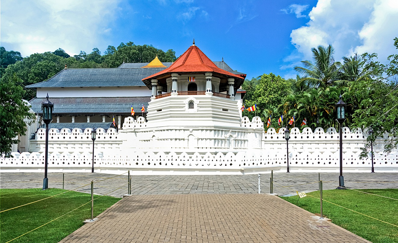 Tooth Temple