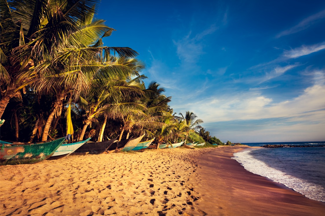 La plage de Mirissa