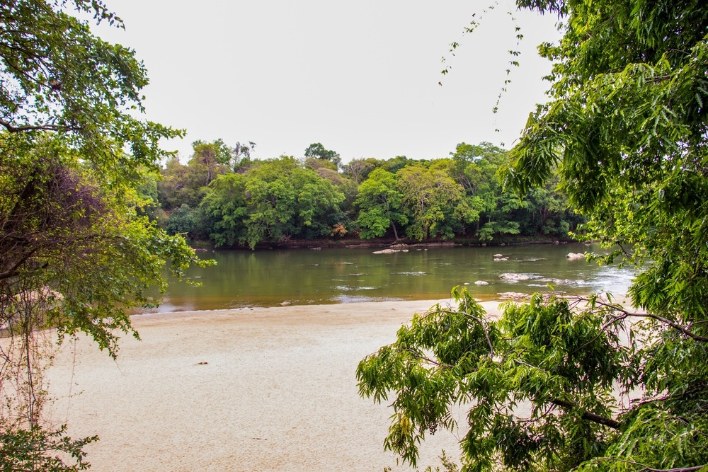 Parc national de Wasgamuwa