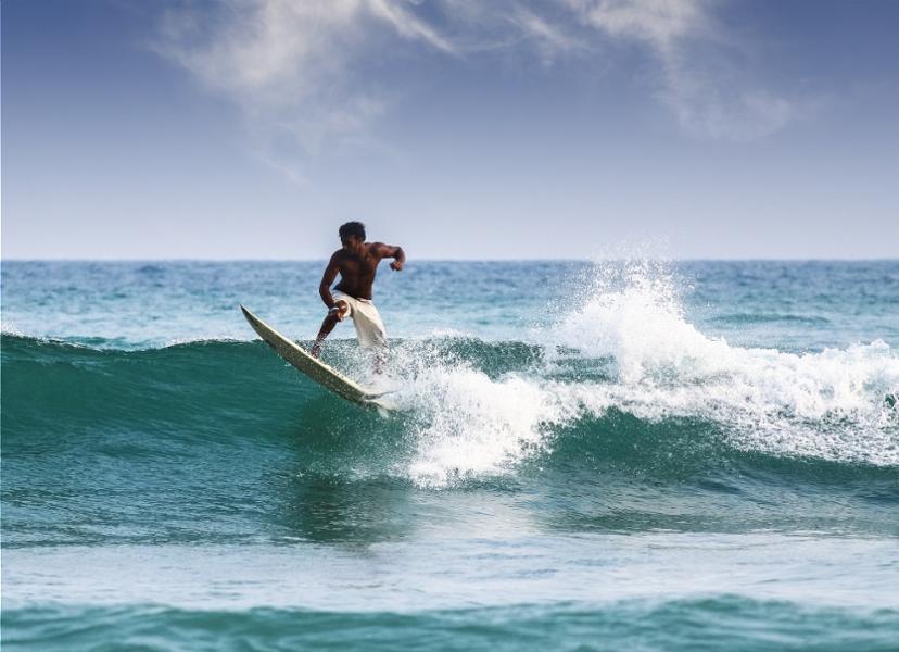 8 activités insolites à faire au Sri Lanka