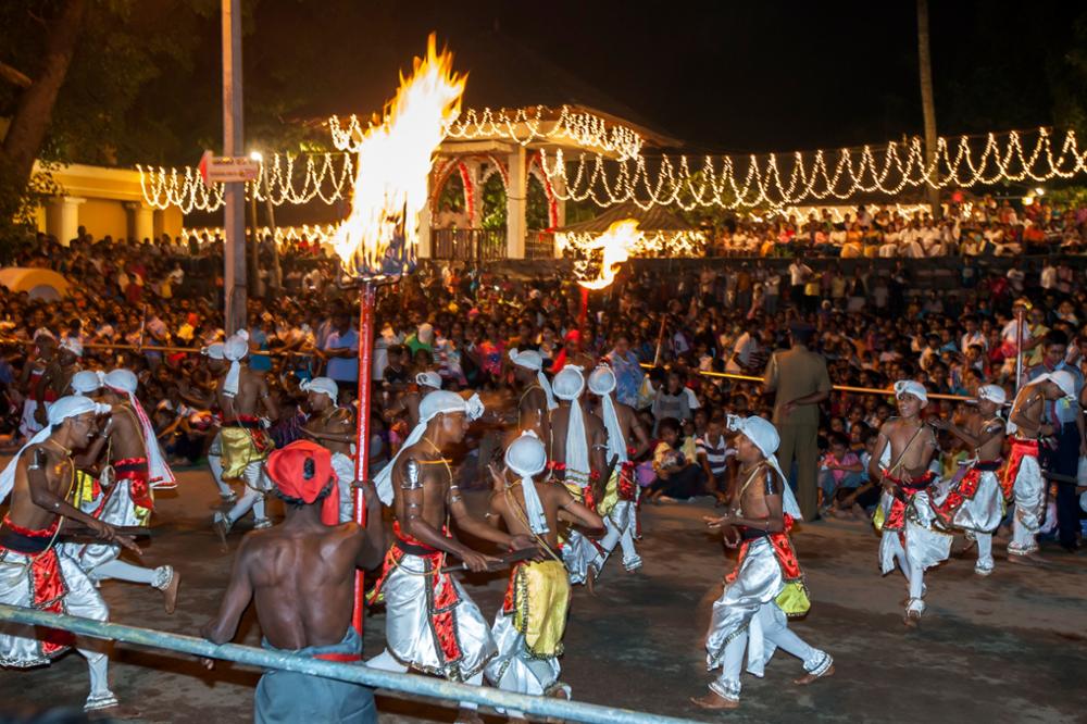 8 activités insolites à faire au Sri Lanka