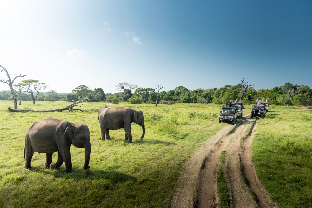 Parc national de Kaudulla