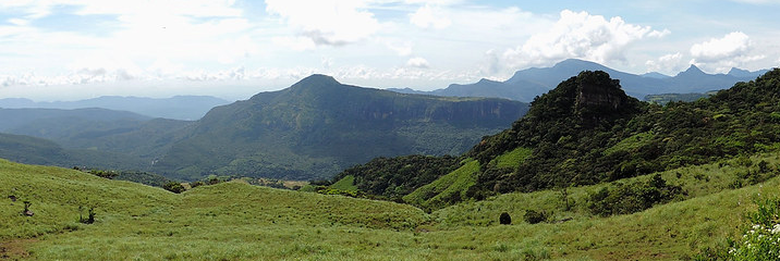 Les Monts Knuckles