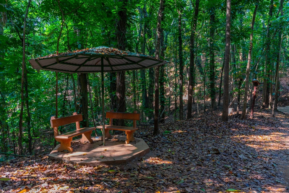 Udawatta Kele Sanctuary