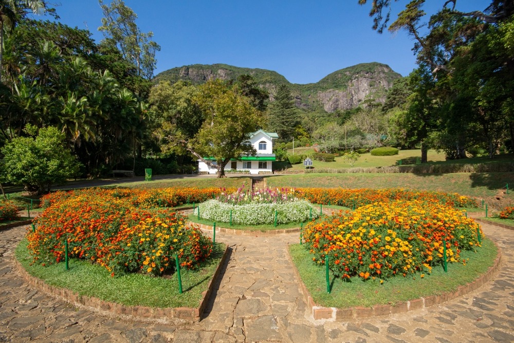 Jardin botanique d’Hakgala