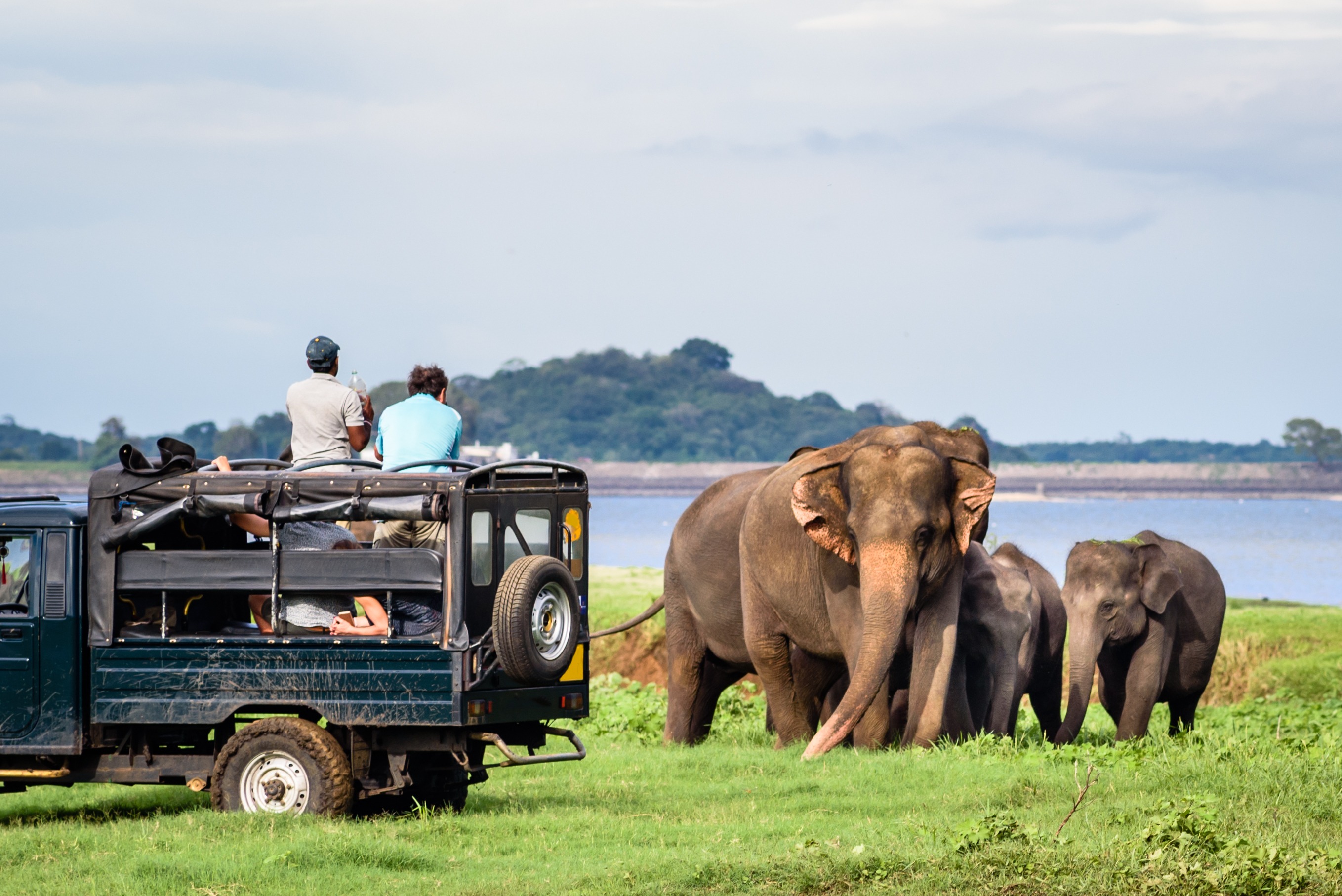 Voyage en famille au Sri Lanka : les expériences à ne pas manquer