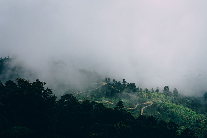 Meilleur période pour partir au Sri Lanka