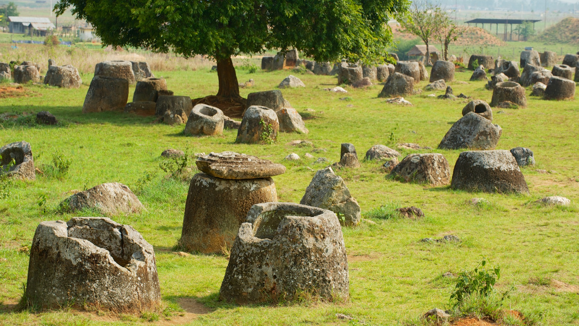Plain of jars