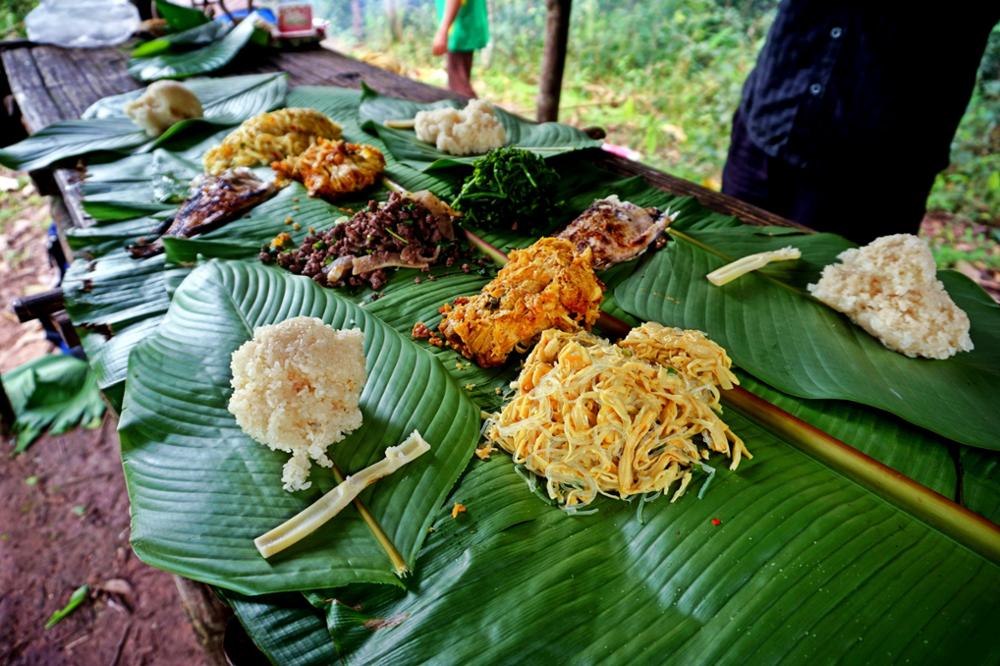 Faire un trek dans le parc national de Nam Ha