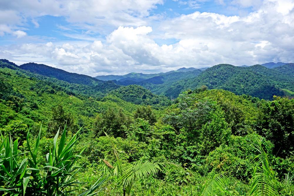 Faire un trek dans le parc national de Nam Ha