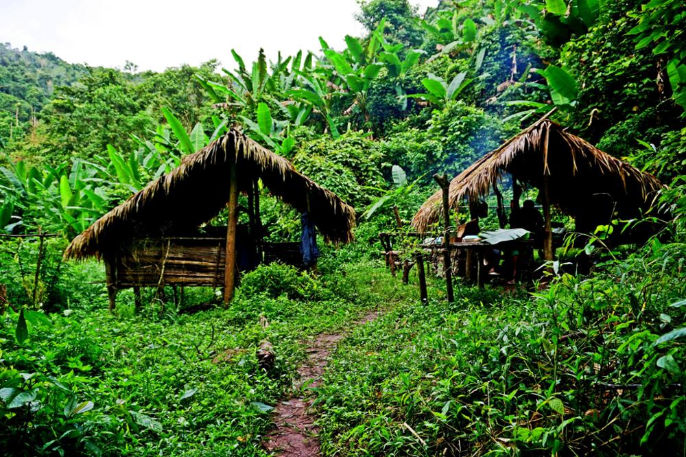 Faire un trek dans le parc national de Nam Ha