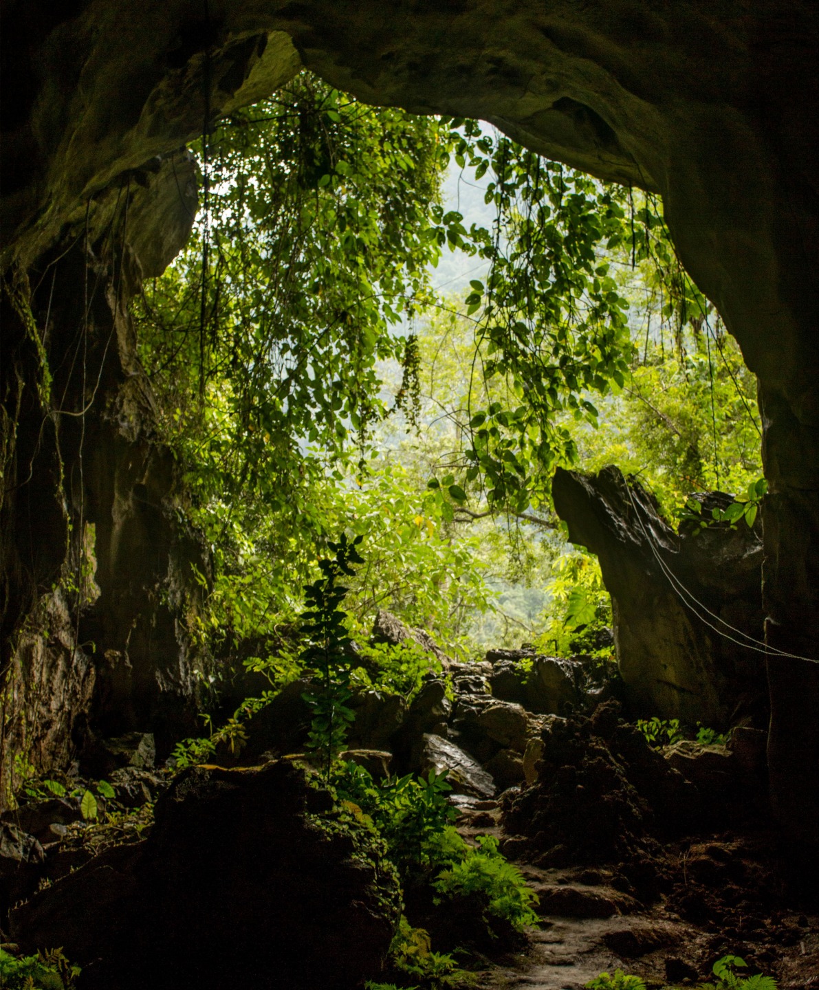 Grottes Tham Kang