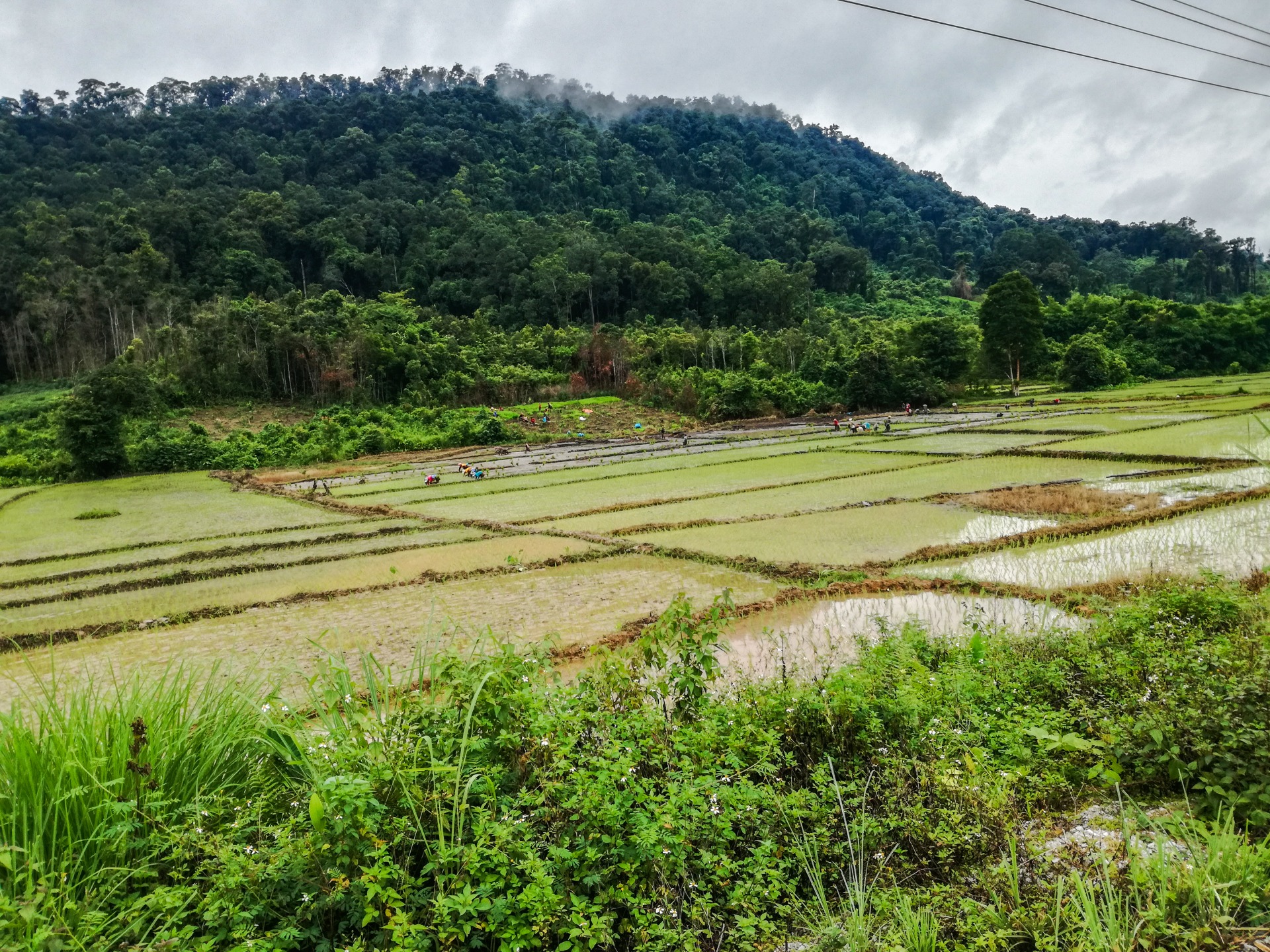 Lak Sao
