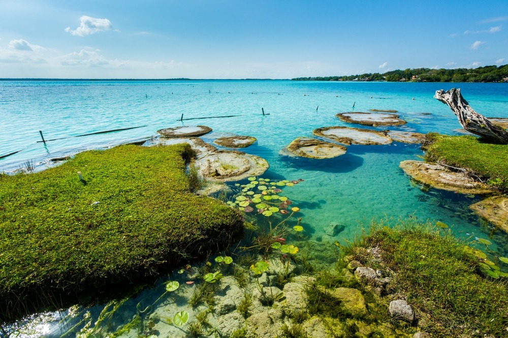 Bacalar