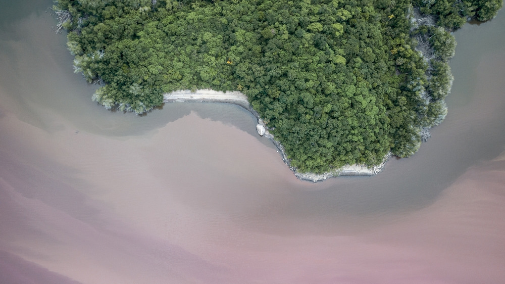 Lagune de Manialtepec